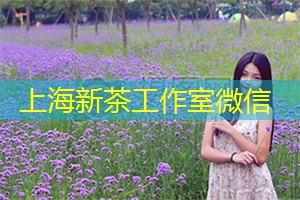 夜晚的黄浦江：浪漫与心动
